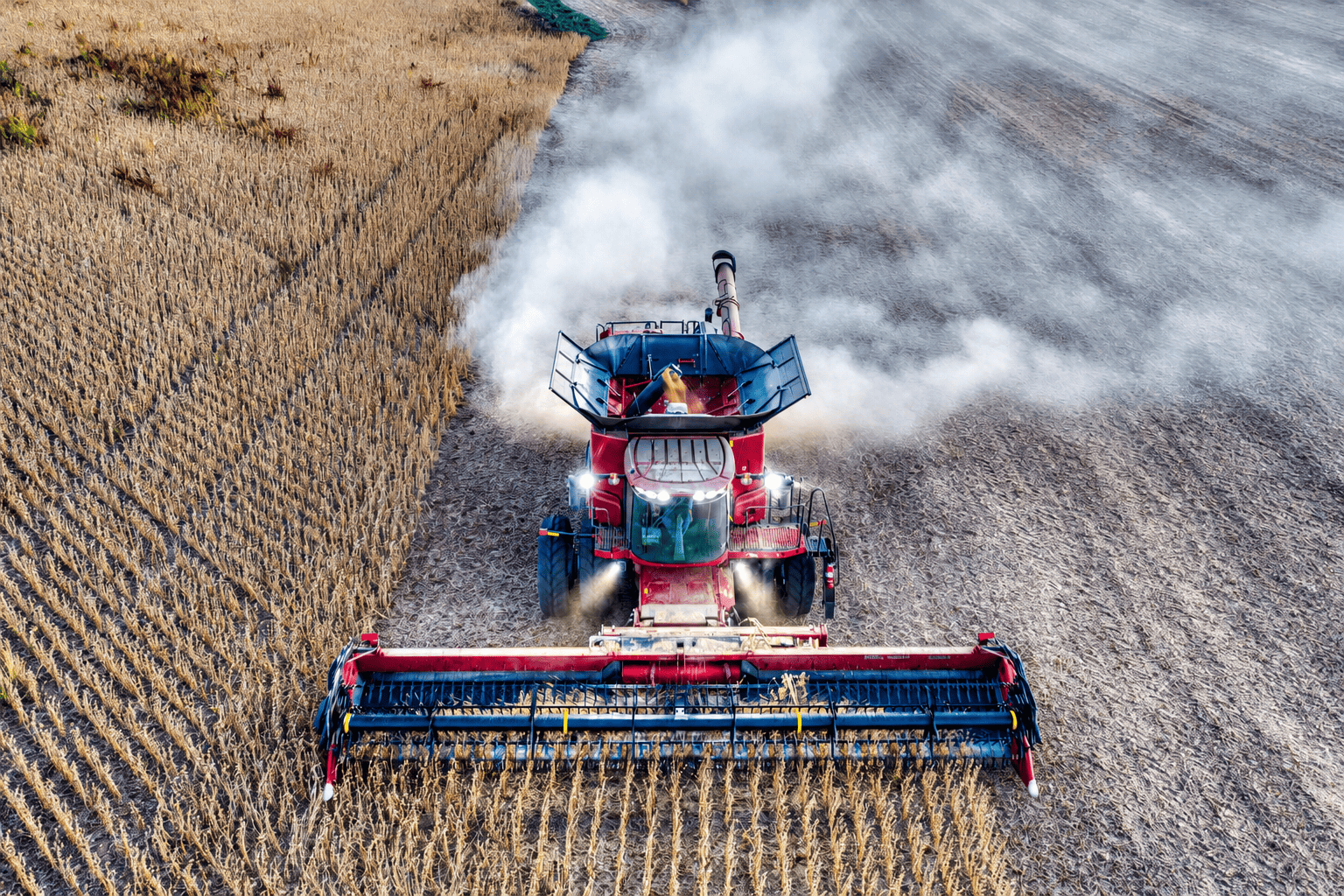 Arrendamento Rural: O Que Todo Proprietário e Arrendatário Precisam Saber